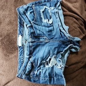 Torrid Shorts